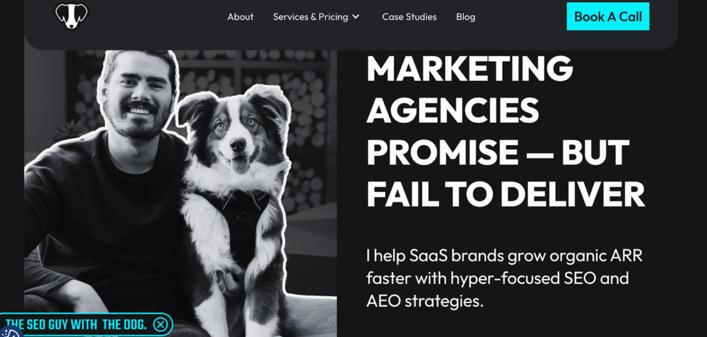 Taylor Scher SEO Homepage Screenshot